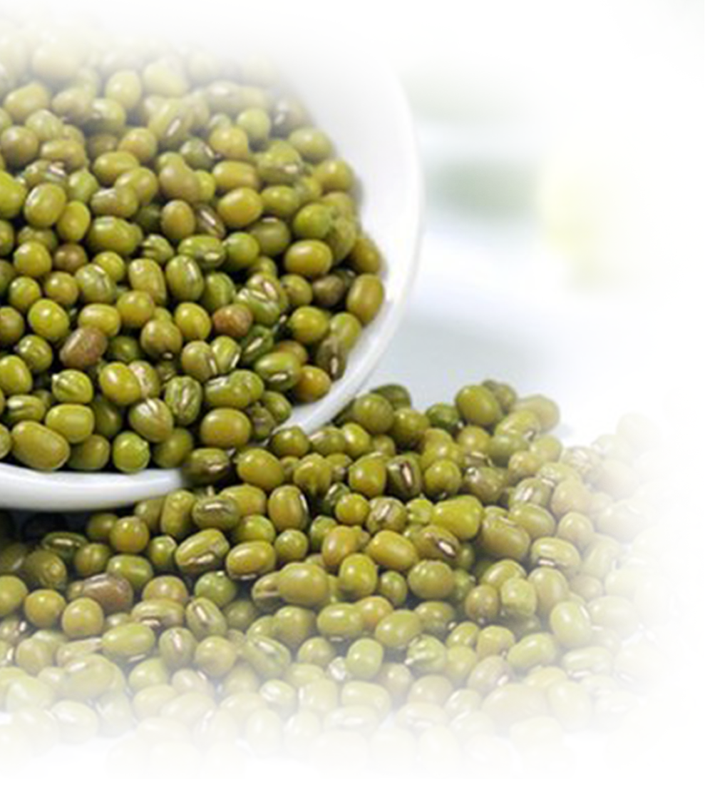 Mung Beans in a bowl