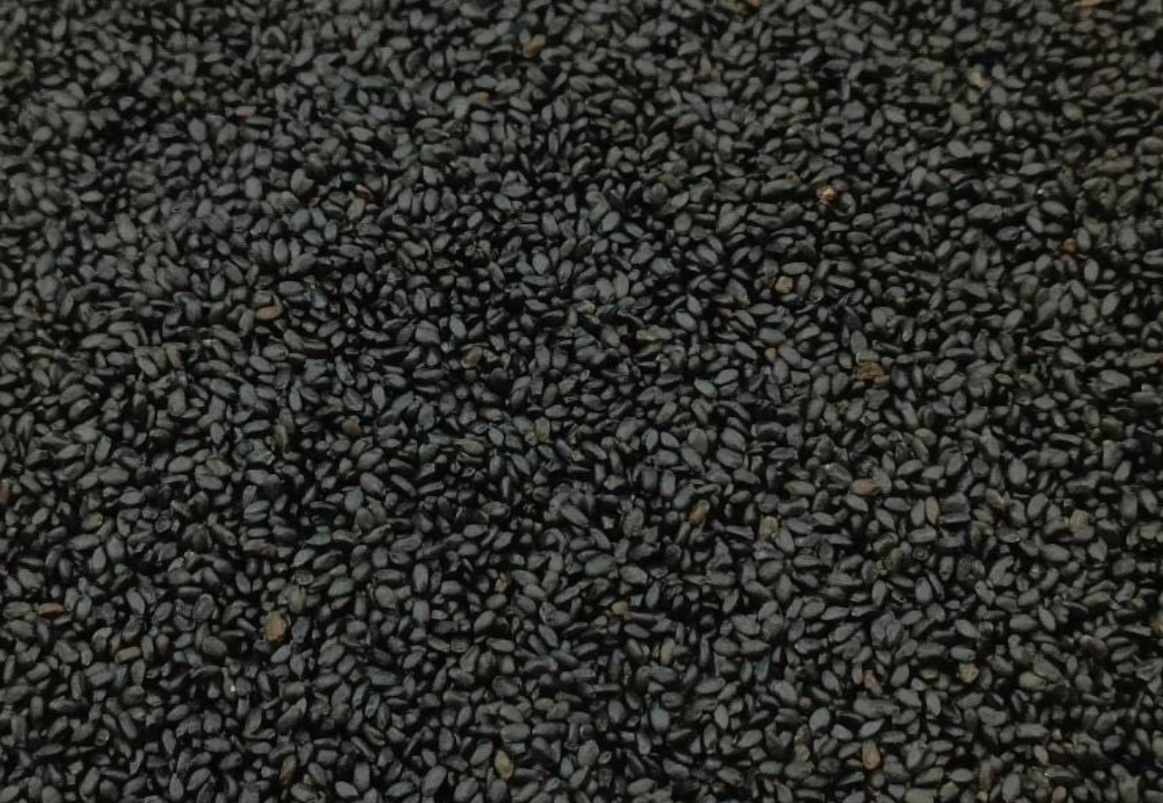 Basil Seed