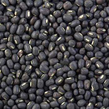 Black Matpe Bean