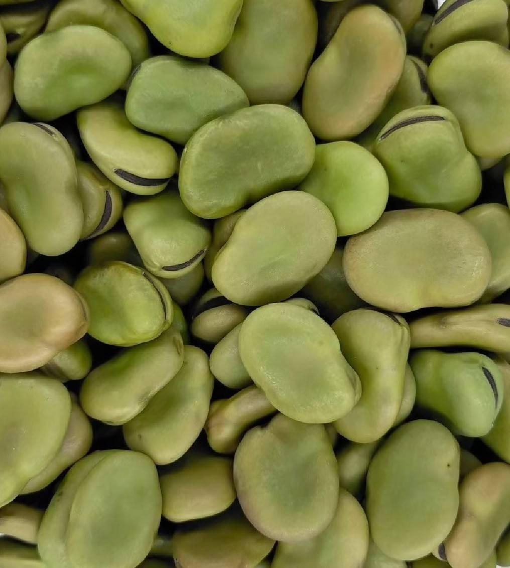 Board Bean
