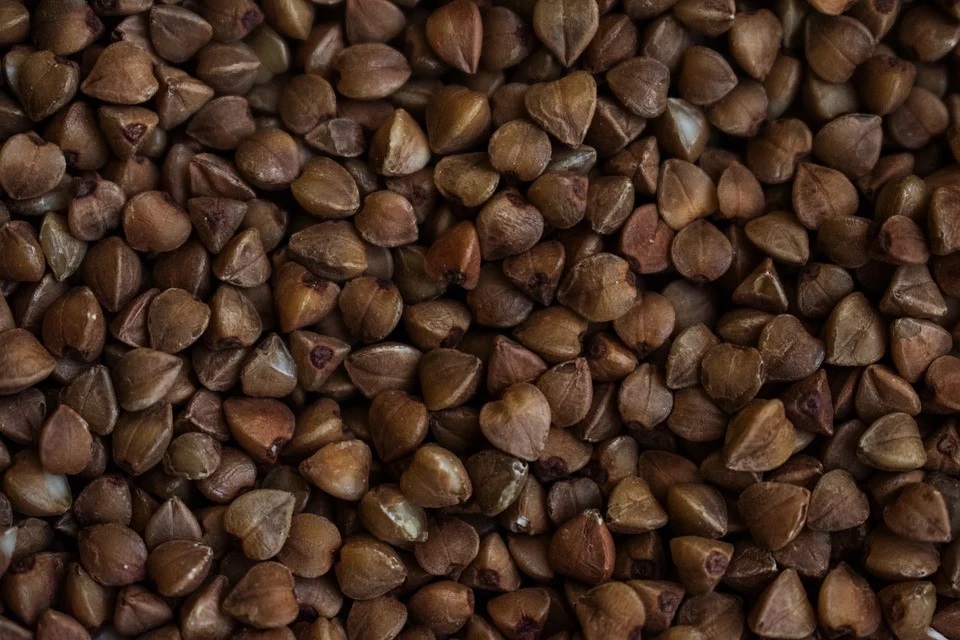 Buckwheat