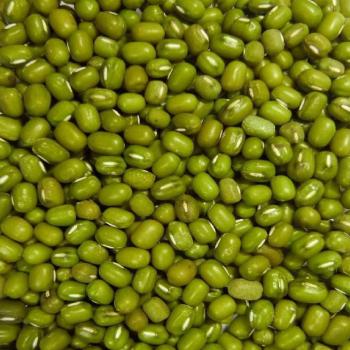 Green Mung Bean