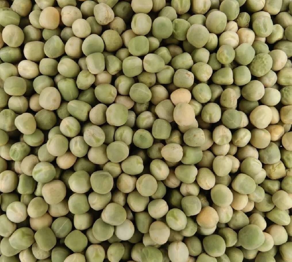 Green Peas