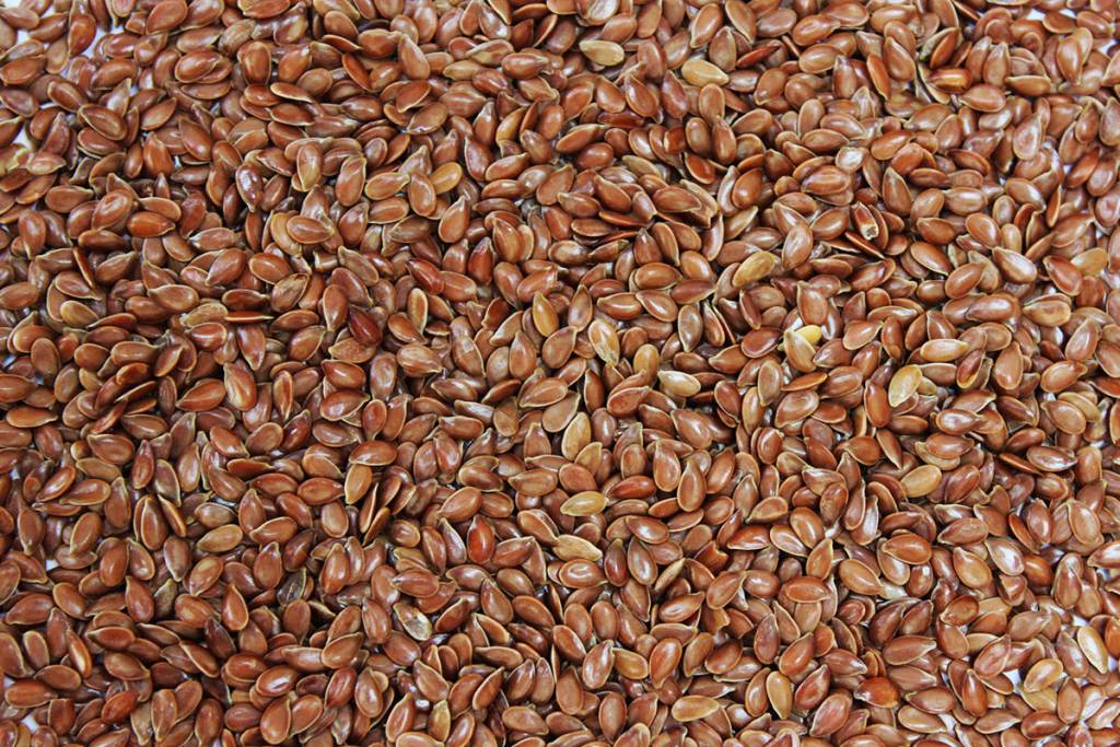 Linseed