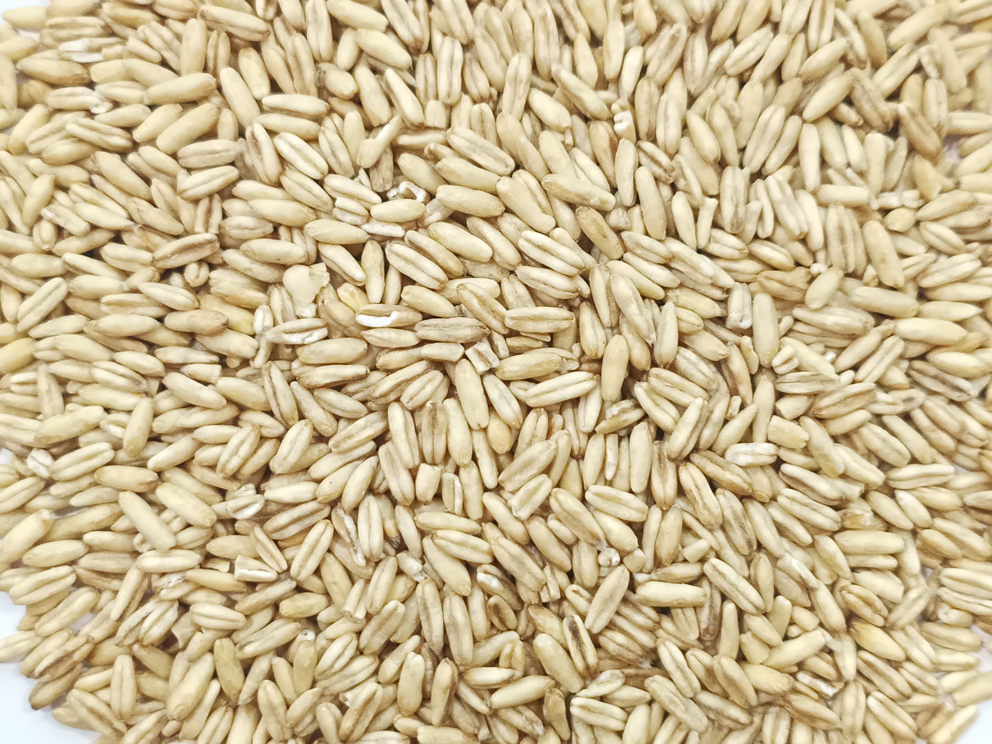 Oats