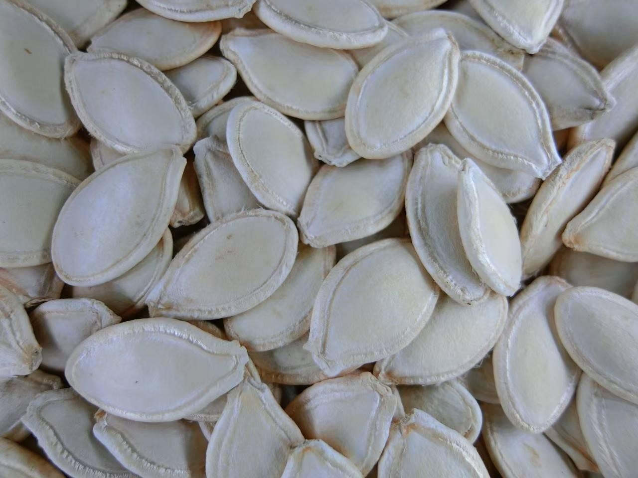 Pumpkin Seed