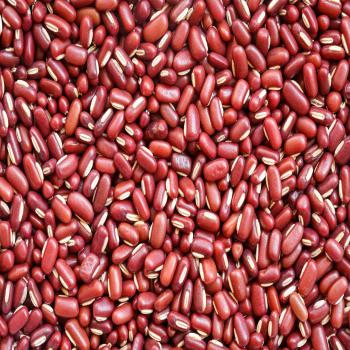 Red Bamboo Bean