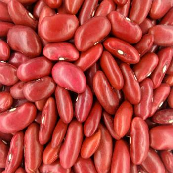 Red Kidney Bean