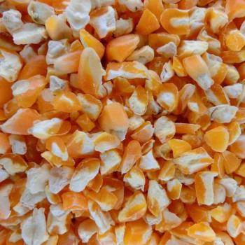 Small Coarse Corn