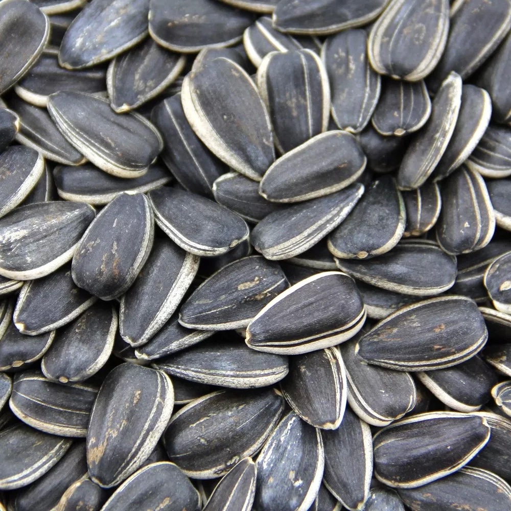 Sunflower Seed Type A